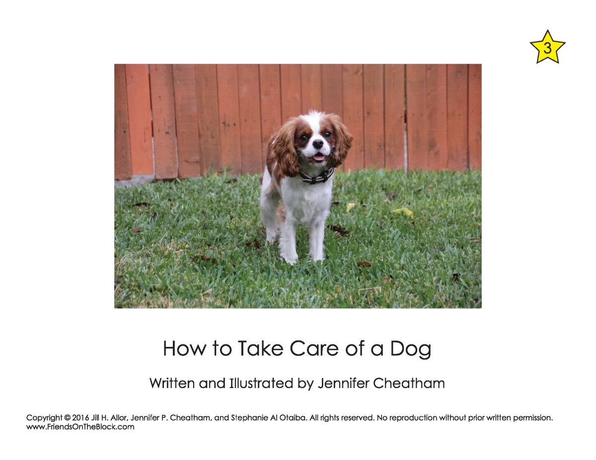 How to Take Care of a Dog: Level 3
