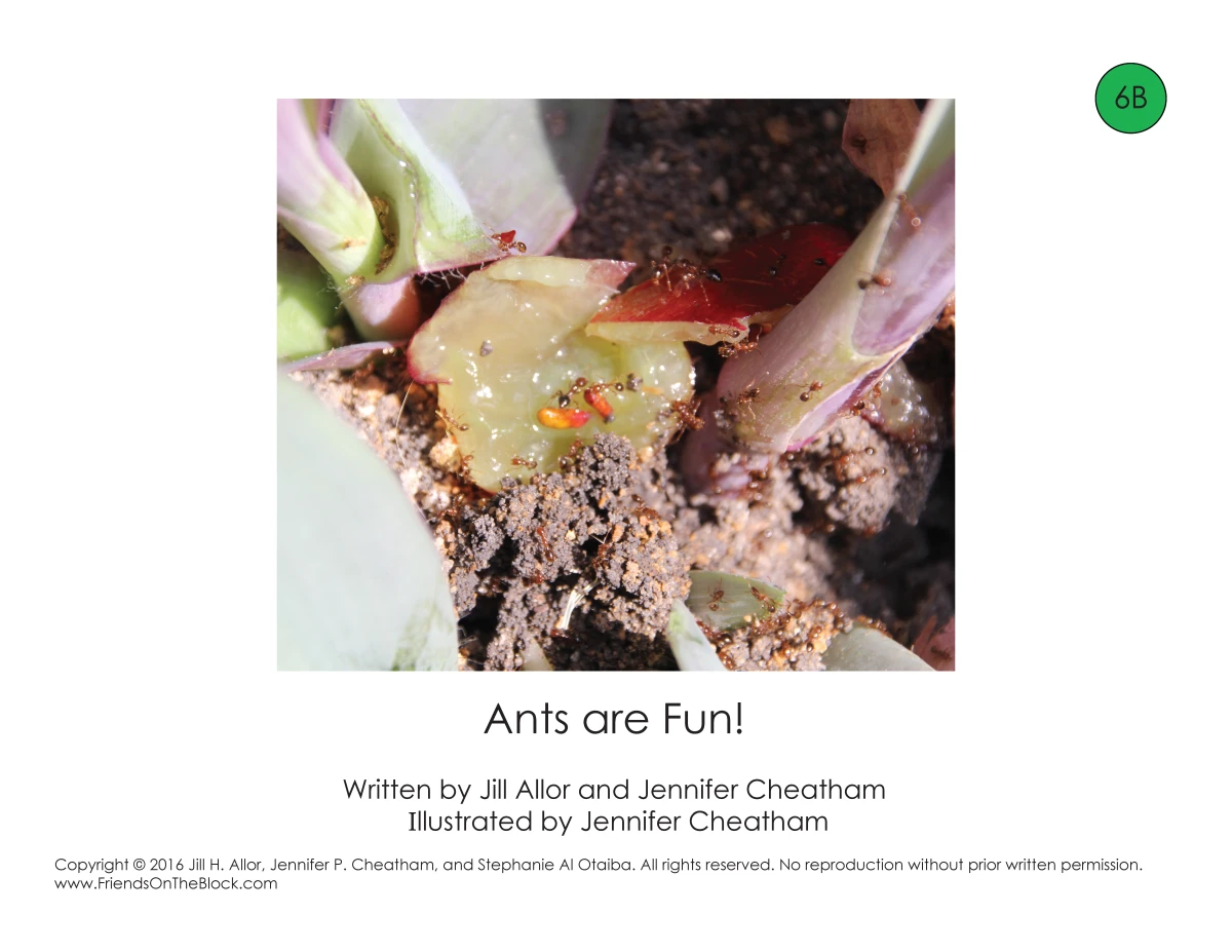 Ants are Fun!: Level 6B